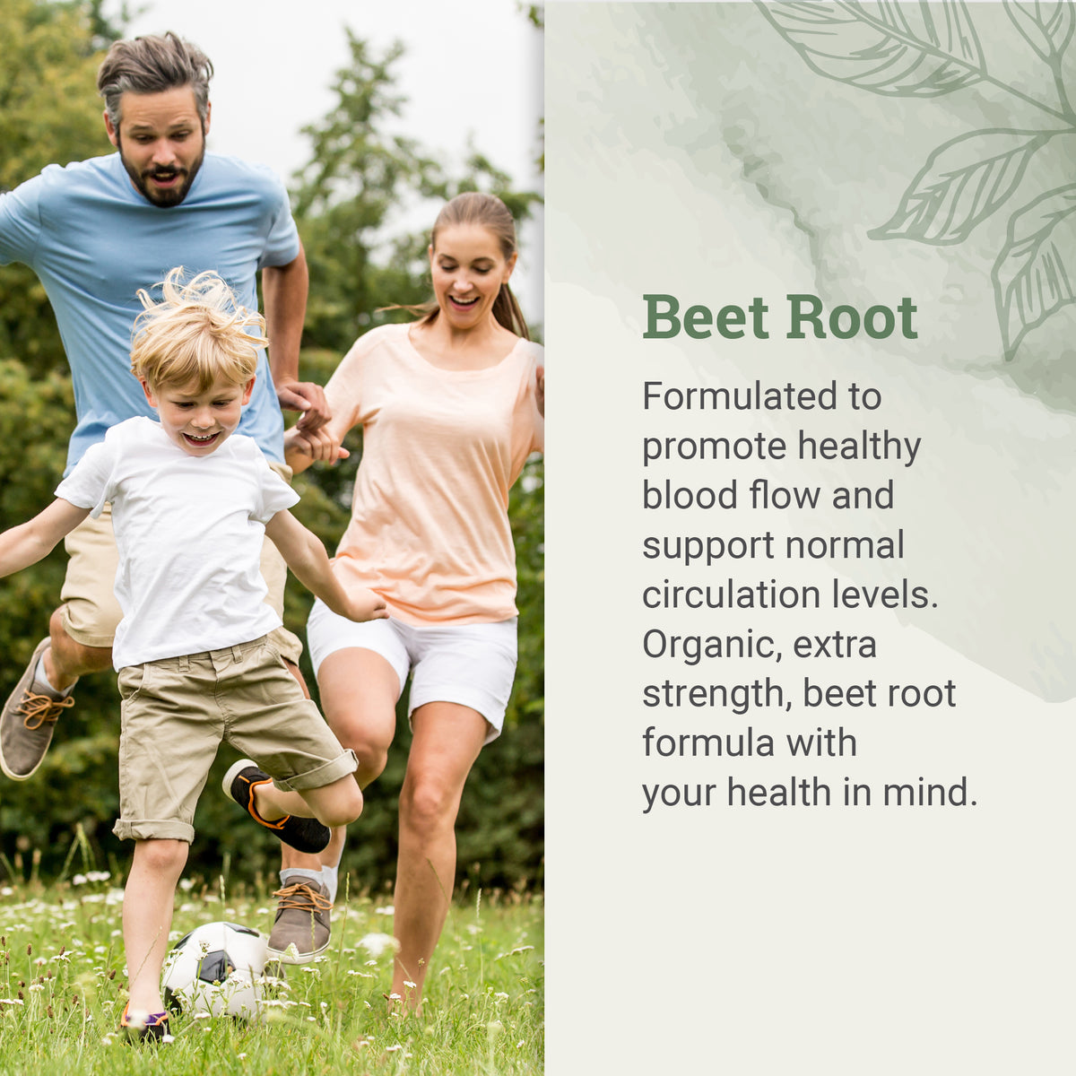 Beet Root Blend