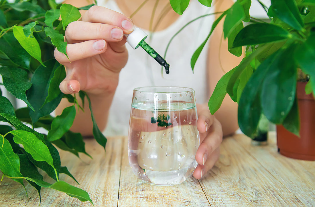 10 Amazing Benefits of Chlorophyll