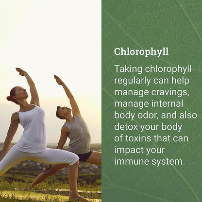 Liquid Chlorophyll