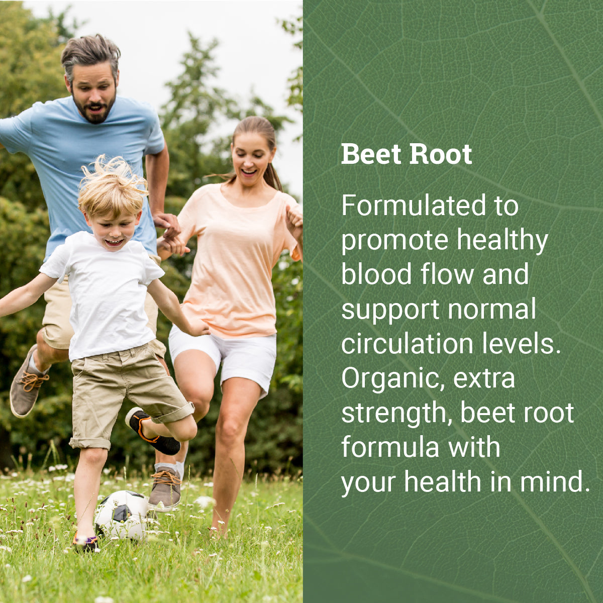 Beet Root Blend