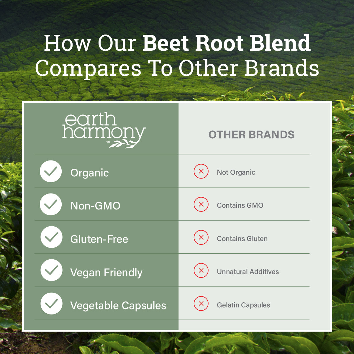 Beet Root Blend