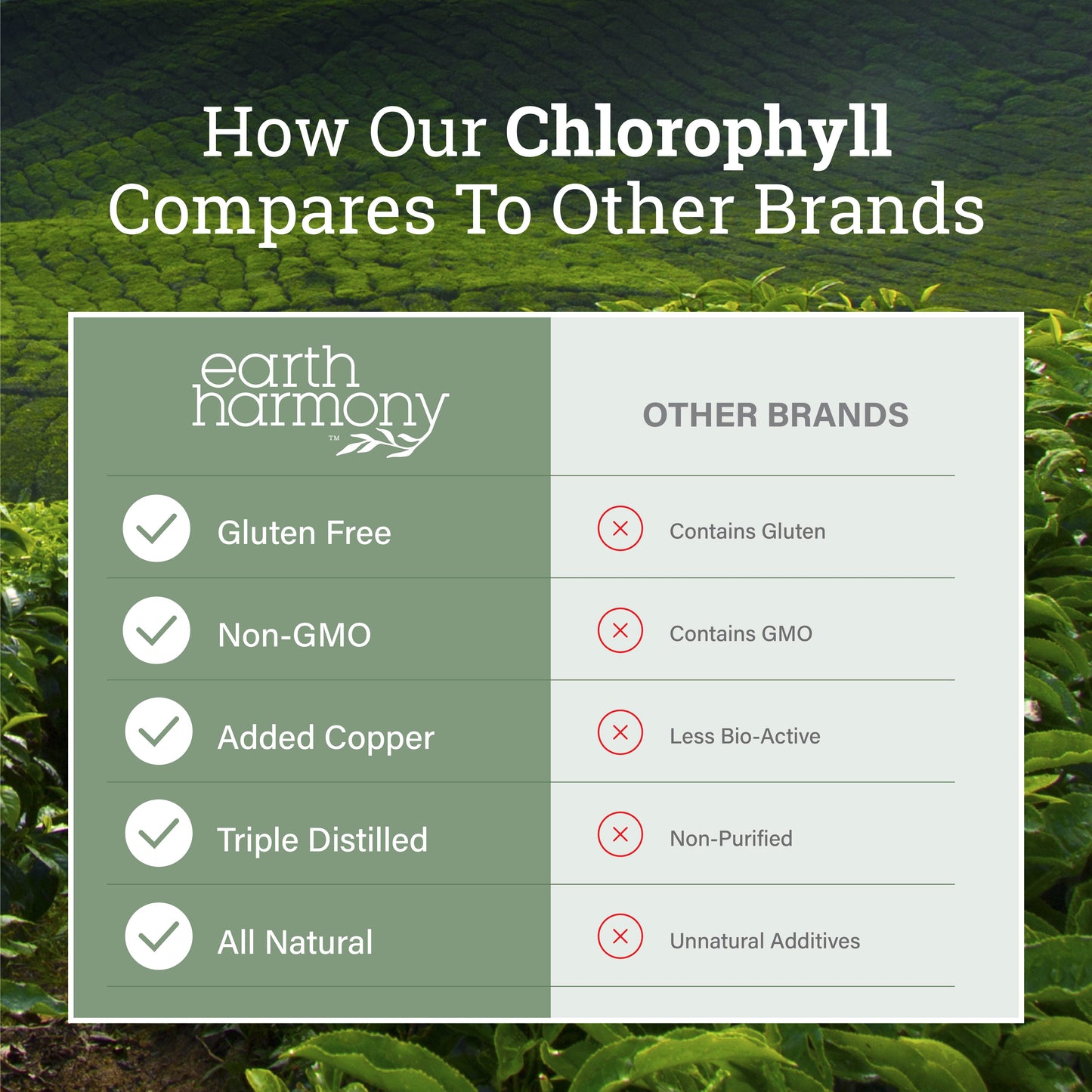 Liquid Chlorophyll