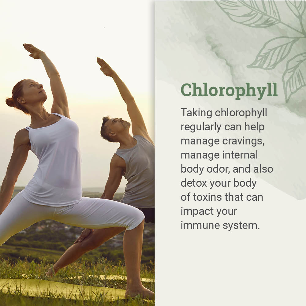 Liquid Chlorophyll