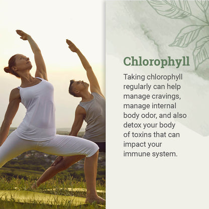 Liquid Chlorophyll